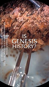 Are conventional geologic ages REALLY correct? | Dr. Kevin Anderson discusses time and issues with evolutionary theory. #isgenesishistory #geology #bible | Is Genesis History