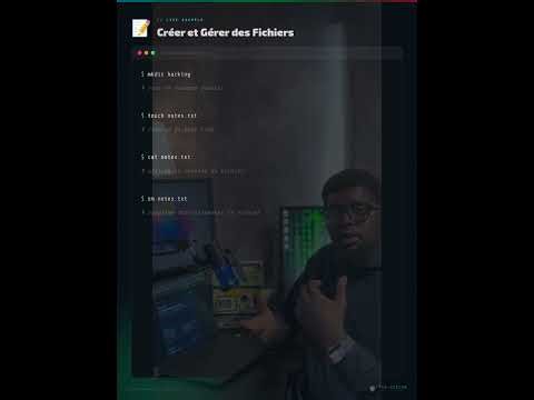 Linux base terminal premiere commande