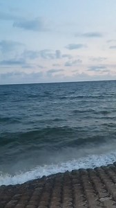 3.4M views · 10K reactions | #memes #LaughOutLoud #funnymemes #funnyreelsvideo #mukbang #sigma #gentleman | Flouxs MC Ethereal | Facebook