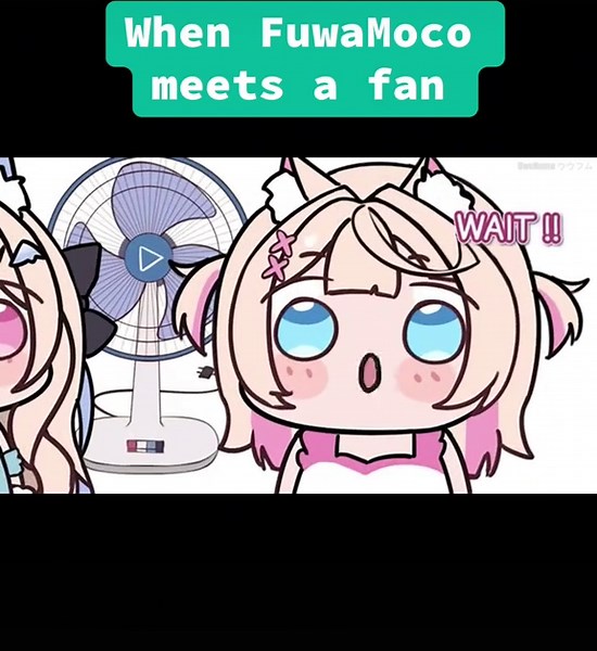 #fuwamoco #fuwawa #mococo #hololive #vtuber