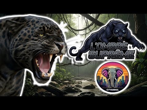 Panthère Noire | Documentaire Animalier