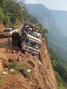 84K views · 291 reactions | An unexpected elephant appeared near the bus — and what happened 15 seconds later, no one saw coming… | Alien Relics | Facebook