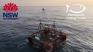 25 reactions · 4 comments | Forster and Central Coast artificial...