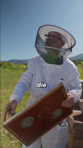 Honig ernten ohne Bienen? 🤯 Imker Rainer zeigt Jean den genialen Bienenflucht-Trick! 🐝🍯