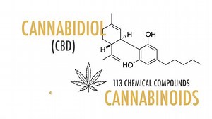 Throughout the years, We have noticed that many clients are dealing with Depression and Anxiety. Weight loss is an issue and also brain fog has become an epidemic. I have studied many Nootropic supplements to help enhance our brains while we deal with our stressful lives. Also, I understand that clients have moments where they feel depressed, feel anxious, or can't sleep due to overwhelmed moments in their life. As Compass Healing clients could be waiting for another session, this could be a goo
