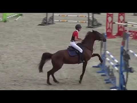 Horse FAILS & FALLS 2018 | Equi Rider