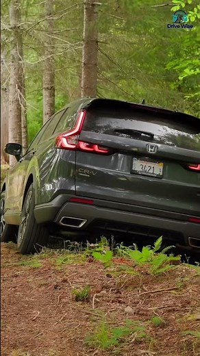 Kia Sportage 2025 vs Honda CRV 2025 — 10 Rounds HUGE Battle 🔥