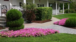 7.2K views | Garden Answer on Reels | Facebook