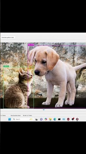 Using ONNX Runtime in Delphi
