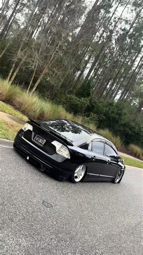 little bud🦆 | uh branch what cha doing there lil bud