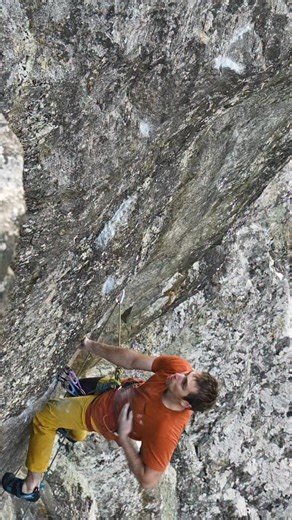 12K views · 577 reactions | Well chuffed to see my E10 What We Do in...