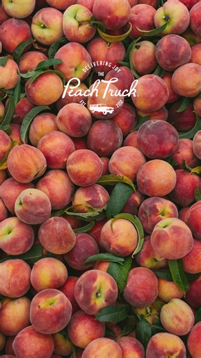 🍑 It's peach season, y'all 🍑 For more than a decade, we've been partnering with premium peach growers to bring the most delicious, freshest, juciest peaches to homes across America just days from the orchard. Pre-order your first box of perfect summertime peaches for convenient delivery | The Peach Truck