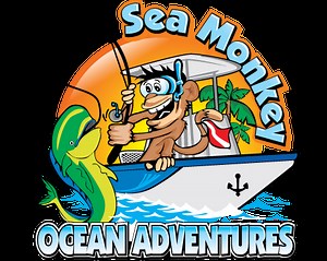 Dolphin Tours | Sea Monkey Ocean