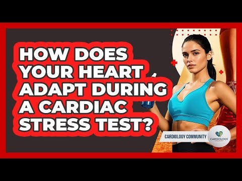 How Does Your Heart Adapt During A Cardiac Stress Test? - Cardiology Community