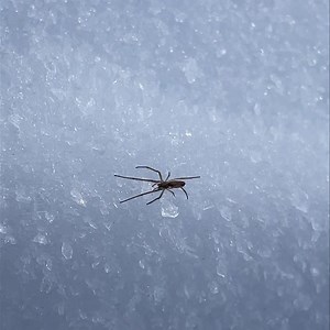 8.4K views · 285 reactions | As you start planning your winter hikes,...