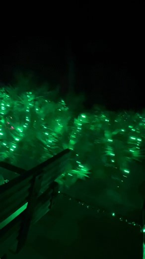 Okefenokee Swamp Park 2025 light show | Waycross and Ware County Georgia Happenings