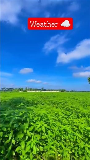 Weather ☁️❣️ nature 🌿#short #trendingshorts #youtubeshorts #viralvideo