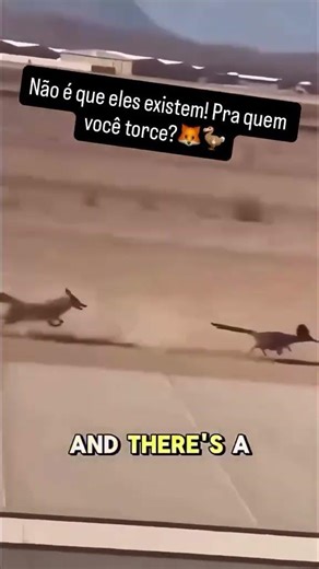 Todo mundo achava que era só desenho animado…Mas olha isso acontecendo na vida real! 👀