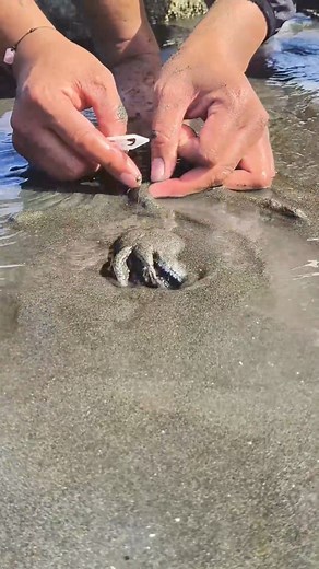 11K views · 32 reactions | Nylon String + Arrow Squid 撚 | Ser Ronz | Facebook