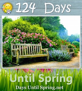 The Countdown to Spring 💛🌈🌷 🌈 👉 https://daysuntilspring.net 👈 🌸 . #Spring #Spring2025 #SpringCountdown #countdown #sunandfun #CountdowntoSpring | Spring Countdown