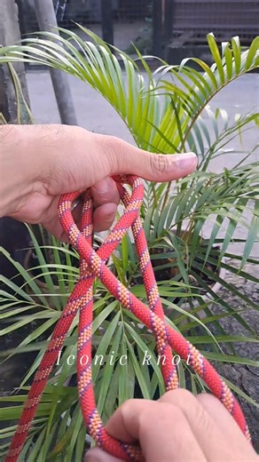 13K views · 89 reactions | Simple knot. Ep.9 (alpine butterfly) #reelsvideoシ #reelsfbシ #reelsfb #everyoneシ゚ #fbreels #handmade #reelsfypシ #tips #fb #ideas #diy #howto #camping | Iconic Knots | Facebook