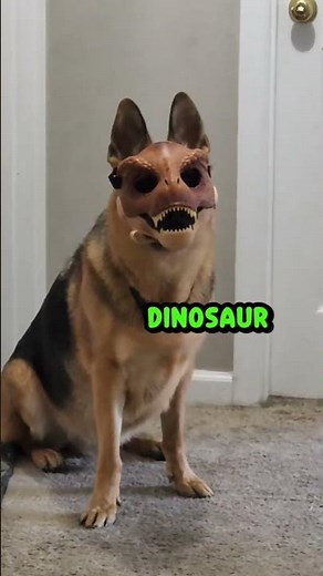 DiNoSauR 🦖🤣