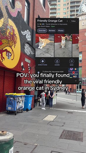 Friendly Orange Cat: Best Places to Visit in Sydney