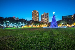 Where to see Christmas light displays in Tampa Bay