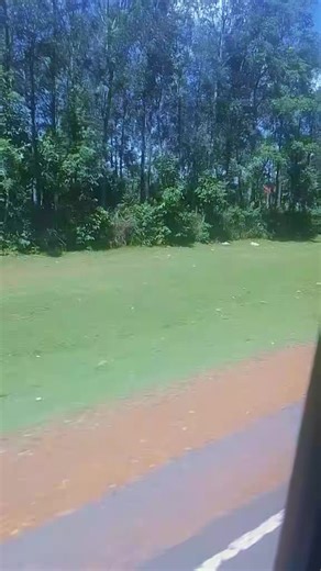 Blue face baby_C (@roy_clintons)’s videos with original sound - BLACK-EMOJI EDITS 🇺🇸/🇰🇪