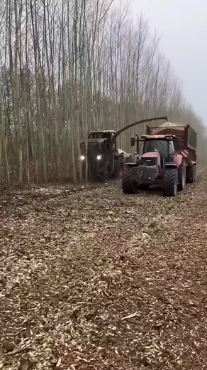 2.2M views · 6.9K reactions | CRAZY Operator on Reels | Facebook