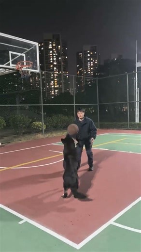 East Germany's Unbeatable Charm: Fouls & Joy Unleashed