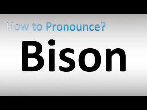 How to Pronounce Bison