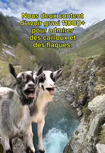 Oui des cailloux et des flaques d’eau 😂 #humour #rando #trend