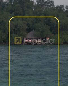 39K views · 20 reactions | Vacation rentals or hotels? Book exactly what you need in just a few taps. Easily find your stay on Expedia. | Expedia | Facebook