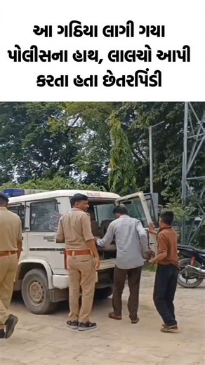 Local Samachar on Instagram: "બે ગઠિયા લાગ્યા પોલીસના હાથ, #femily #brothar #himatnagar #sabarkanta #ʜɪᴍᴀᴛɴᴀɢᴀʀ #shortshorts #viralreels #trendingreels #viral #trend #likeme #gujaratinews #instagood #reelindia #sabarkantha #gujaratistatus #gujaratiwedding #gujaratishayari #gujaratisong #gujarattitans #gujarat #gujaratistatus #crime"
