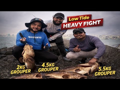 High Tide, Heavy Fight! 💥 Monster Grouper Attack | Deep Rock Fishing | Rock Fishing Gone CRAZY! 😱