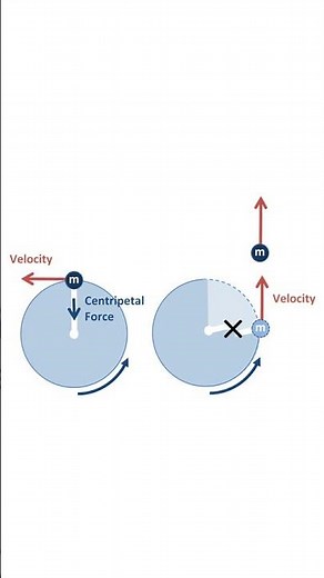 Understanding Isaac Newton's Laws of Motion