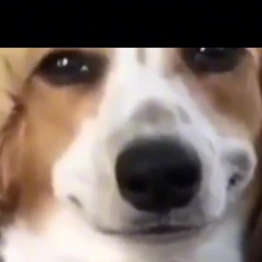 TUTSA ZOR OLAR 😢😢😥