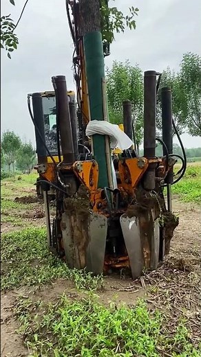 The process of using a sapling excavator- Good tools and machinery make work easy