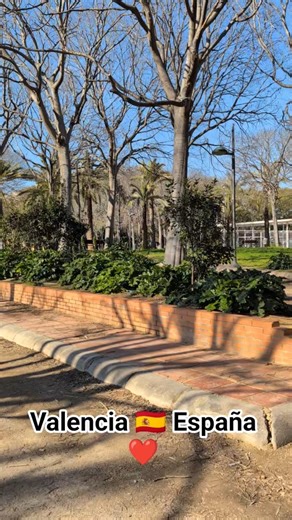 #valencia #españa #2026short #travel #tradiciones #espanya #music