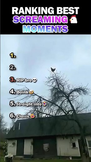 Ranking Best Screaming Chicken Moments 🐔
