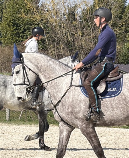 Ultima Rouge,2020 Ultimo V/T Moude x Stakkato 🌟for Sale 🌟 #horse #jumping #fyp @Gabriele Pacchini