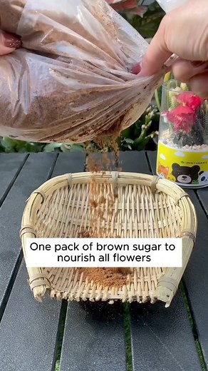 291K views · 5.7K reactions | 5 recipes from brown sugar #gardening #garden #gardeningtips #gardenlife #gardeninspiration #gardenideas #gardenlove #gardendesign #gardenersofinstagram #gardenersworld #garden_styles #gardenphotography #gardenlovers #gardenerslife #gardenart #gardenbeauty #gardensofinstagram #gardenplants #gardenviews #gardenersparadise #gardenista #gardeningcommunity #gardenloversclub #gardenaddict #gardeners #gardenerslife | Pro Gardening | Facebook