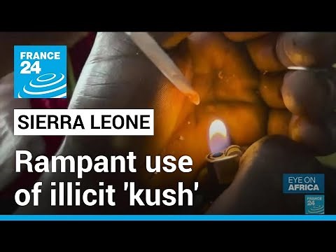 Sierra Leone drug abuse: Rampant use of illicit 'kush' destroying young lives