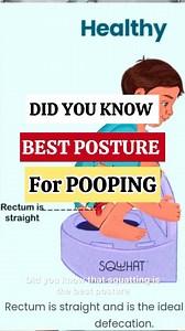 Dr.Sanchi Rastogi on Instagram: "Did you know that squatting is the best position to learn to poop because rectum is straight when we squat and it is ideal posture for defecation. But when we potty train the child, we normally use a regular potty seat or a the big seat with a adapter. But what if there is a potty seat with Indian style toilet. Yes, let me introduce, India’s one and only 3 in 1 potty seat from Sqwhat which can function as Indian as well as Western style. This seat can be used as 