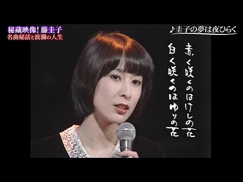 藤圭子　自筆歌詞入り　圭子の夢は夜ひらく　フルコーラス