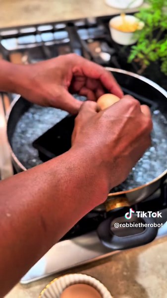 Robbie the Robot on TikTok