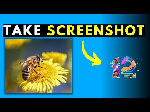 How to Take Video Screenshot in Filmora 12