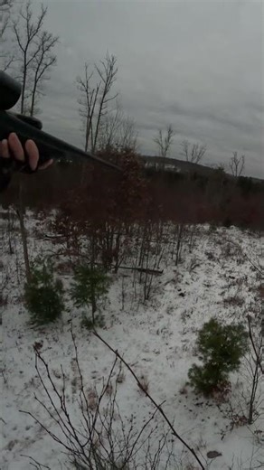 PA Doe Taken With Rifle ! #outdoors #hunting #deerhunting #deerseason #deer #adventure