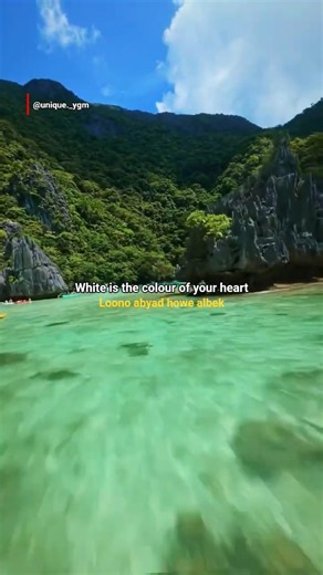 Hadal Ahbek - Issam Alnajjar | lyrics | aesthetic | english songs | Slowed | #hadalahbek